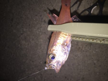 雨が降る前に、、、＆ 釣り場のゴミ