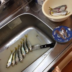ものすごい湿気とともに…