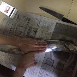 サゴシ不発で太刀魚