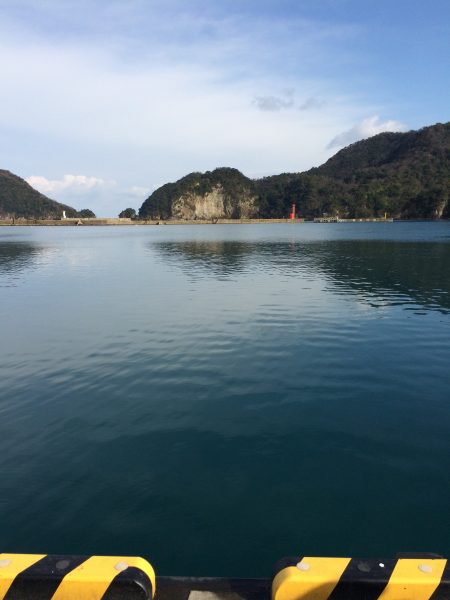 サヨリまだまだ釣れています