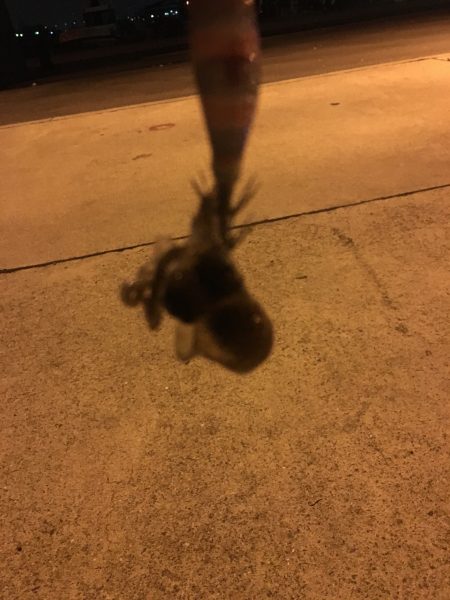 クリスマス釣りー