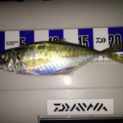 インプレッション