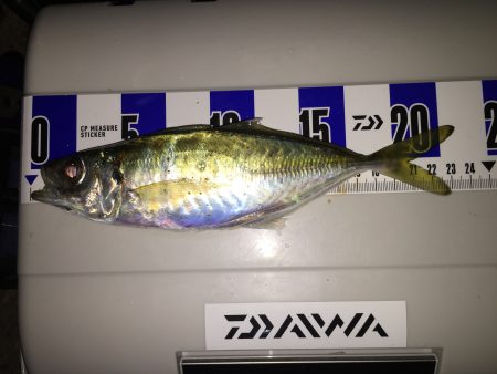 インプレッション