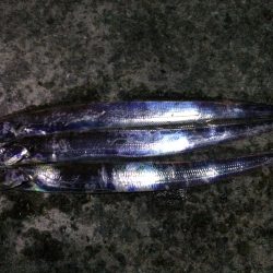 まだ見ぬドラゴン