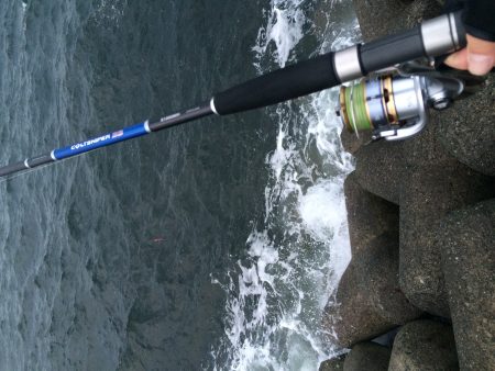 ニューロッドの試投に