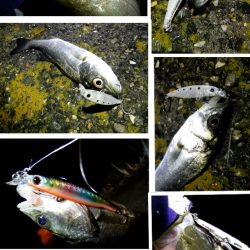 ライトセイゴゲーム