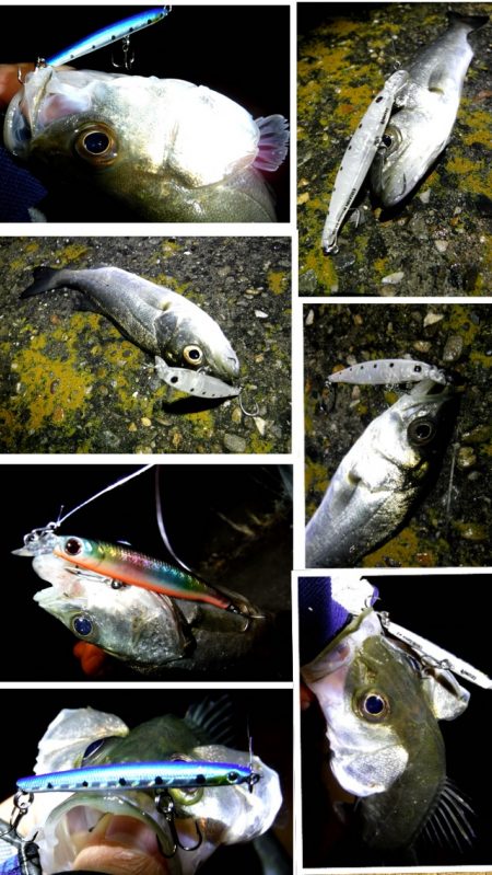 ライトセイゴゲーム