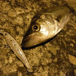 安定のチーバス