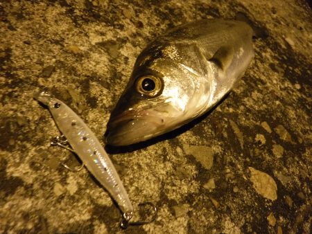 安定のチーバス