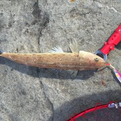 極寒の中がんばりましたー(⌒-⌒; )