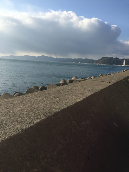 フラットフィッシュ