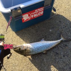 マイポイントで朝練6連チャン