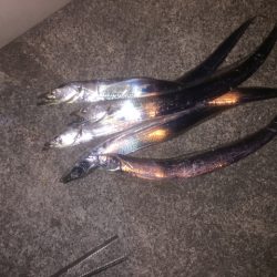 グローで勝負！