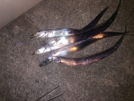 グローで勝負！