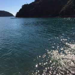 ビースウェイで