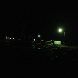 アジがいません！