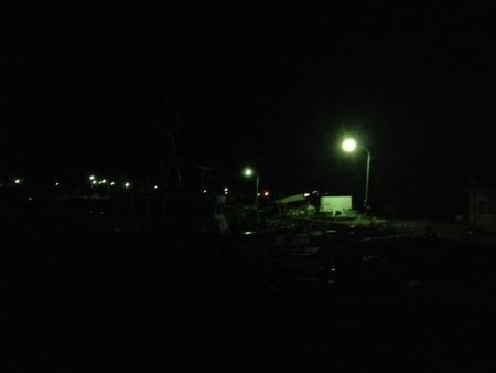 アジがいません！