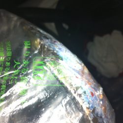 シーバスのはずが…