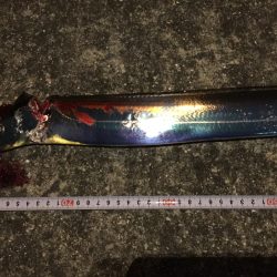 朝練から夕練に＼(^o^)／