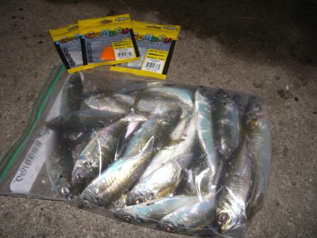 寒い夜でも釣果は熱い〜*\\(^o^)/*