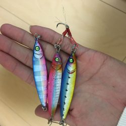 久しぶりの青物？