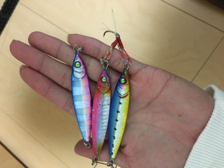 久しぶりの青物？