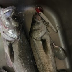 久しぶりの長時間