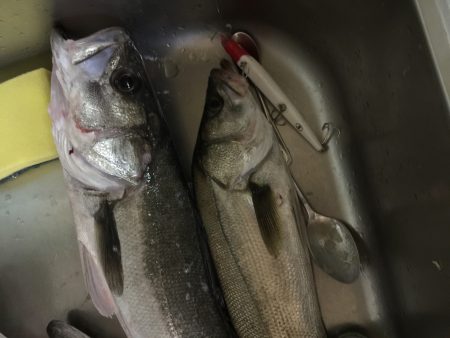 久しぶりの長時間