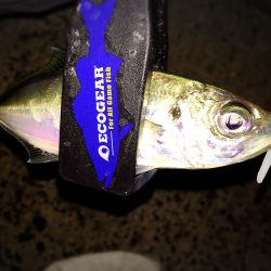 型がだんだんと…