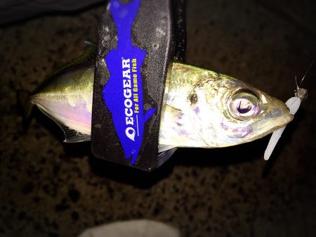 型がだんだんと…