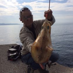 一発大逆転のデカアオリ⁉︎