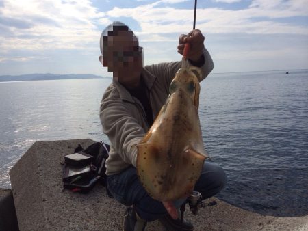 一発大逆転のデカアオリ⁉︎