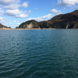 午後から陽が差してきました