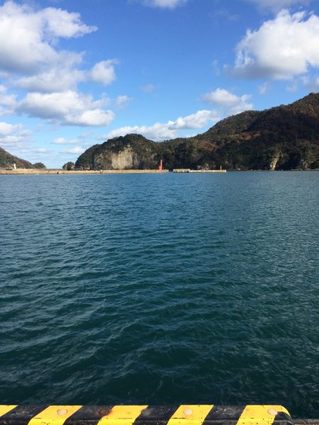 午後から陽が差してきました