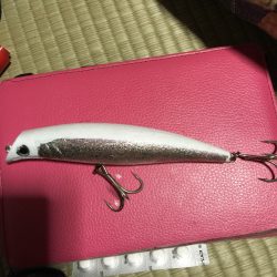 サヨリパターン終盤