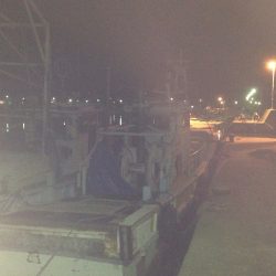 初ヒイカエギング‼︎