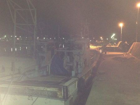 初ヒイカエギング‼︎