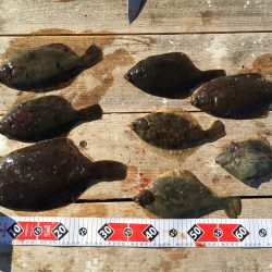 あたりが渋く。