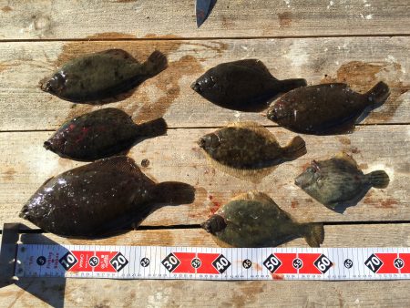 あたりが渋く。