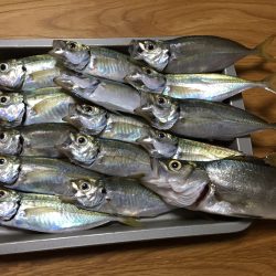 いつものポイントで