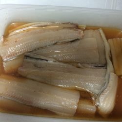 サヨリからの太刀魚