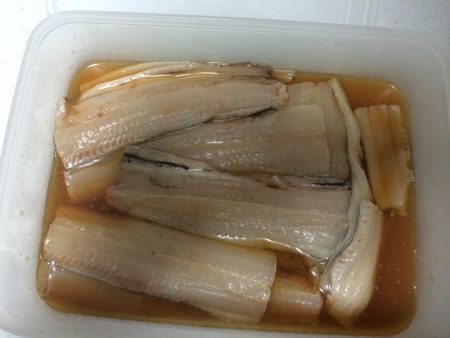 サヨリからの太刀魚