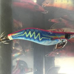 烏賊を釣りたくて！