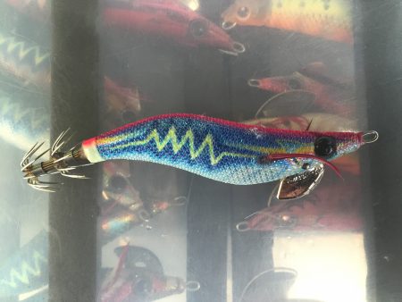 烏賊を釣りたくて！