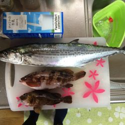 マイポイントで朝練