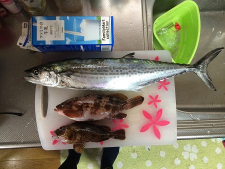 マイポイントで朝練