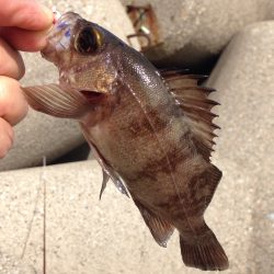 短時間デイゲーム