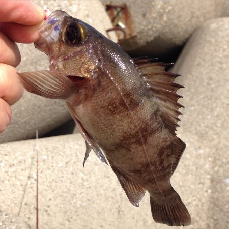 短時間デイゲーム