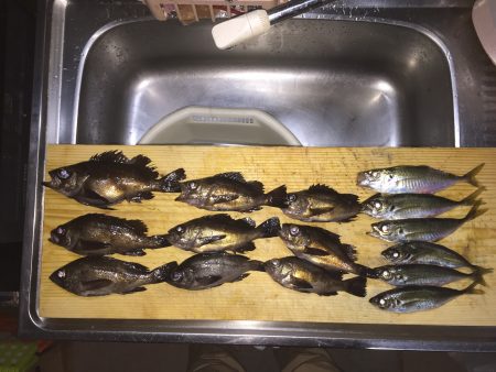 連夜メバリング