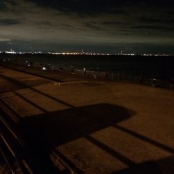 竿納めワインド